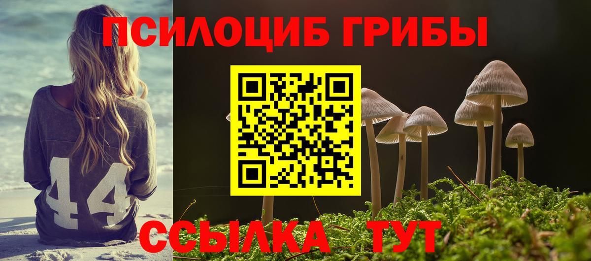 Галлюциногенные грибы GOLDEN TEACHER Старая Купавна
