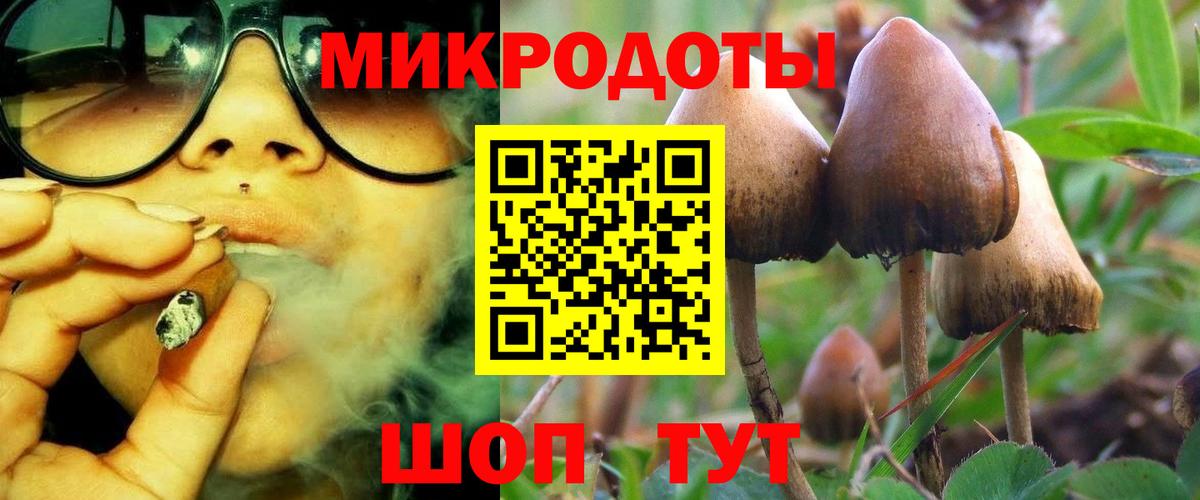 Старая Купавна  Псилоцибиновые грибы мухоморы  Вход с VPN 